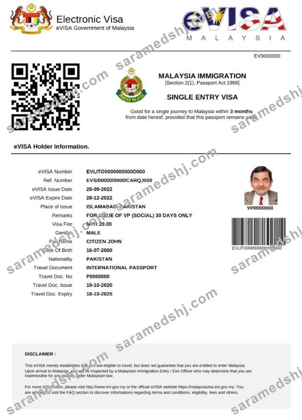 Malaysia e-visa in Word and PDF template